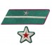 СТАРШИЙ ПОЛИТРУК, ВОЕНВРАЧ 3-го ранга, ВОЕНВЕТВРАЧ 3-го ранга, ВОЕННЫЙ ЮРИСТ 3-го РАНГА, петлицы и нарукавные знаки обр.1935/36 г.